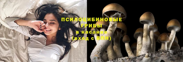 2c-b Баксан