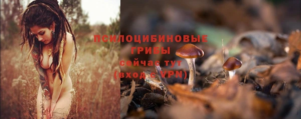 прущие крисы Балабаново